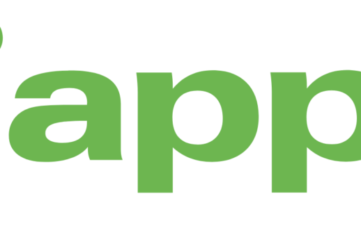 iapp governance privacy report 2024